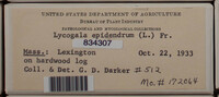 Image Associated With the Occurence